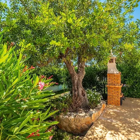 Guerreiro * Albufeira